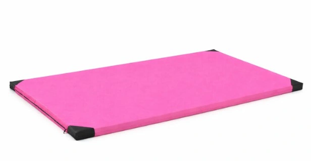 Gymnastická žinenka mäkká (R60) 200x120x10 EKOKOŽA RM-10 Ring Sport ružová